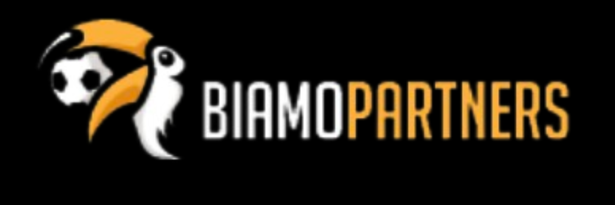 Biamo Partners Img