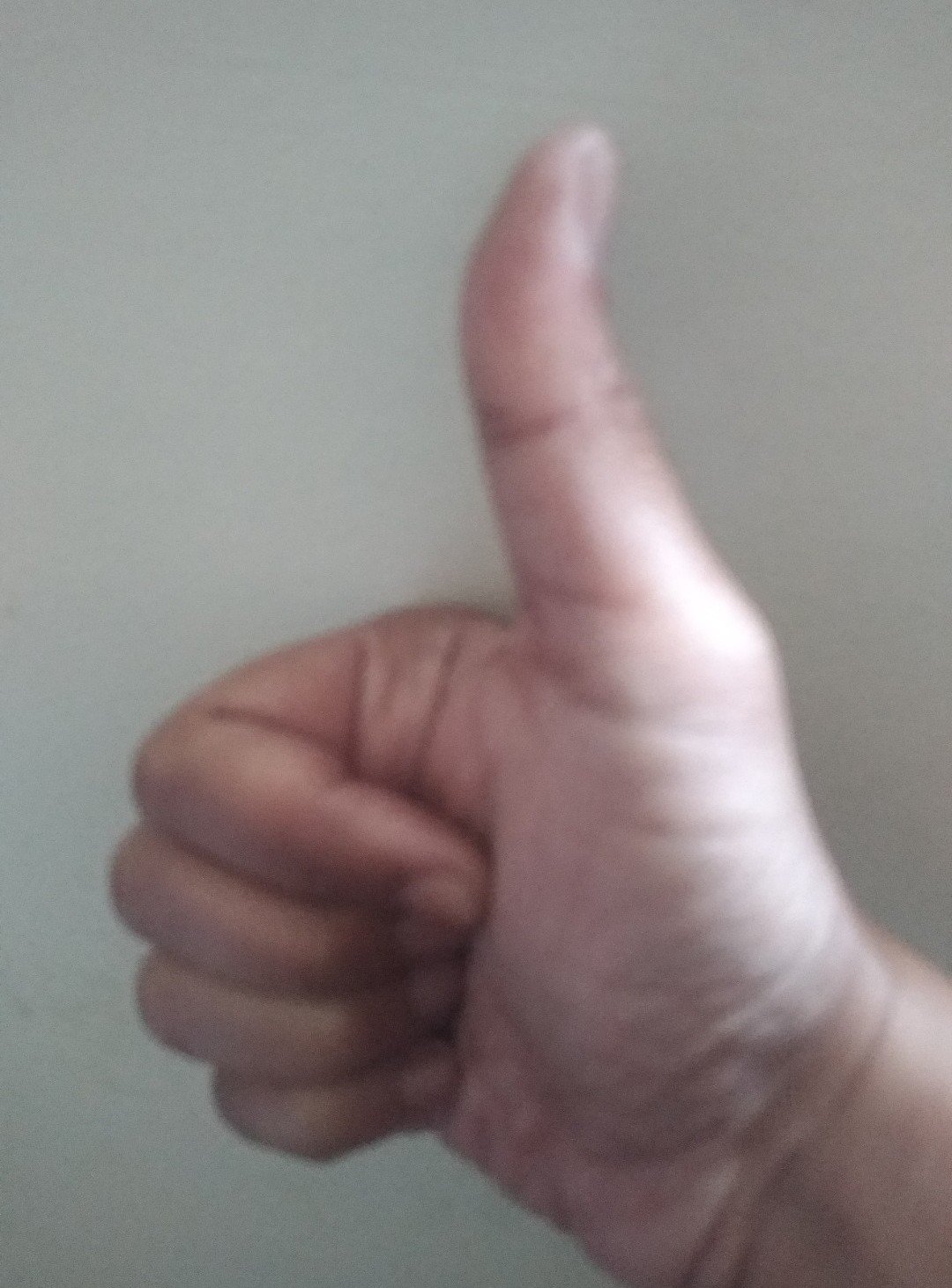 aji irianto - avatar