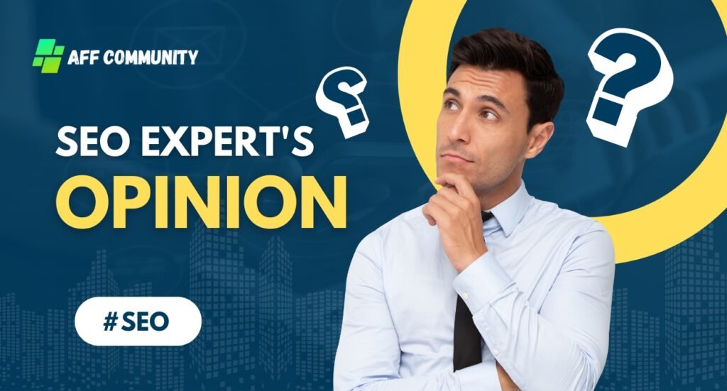SEO expert's opinion