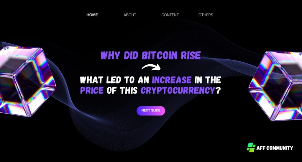 Why did bitcoin rise