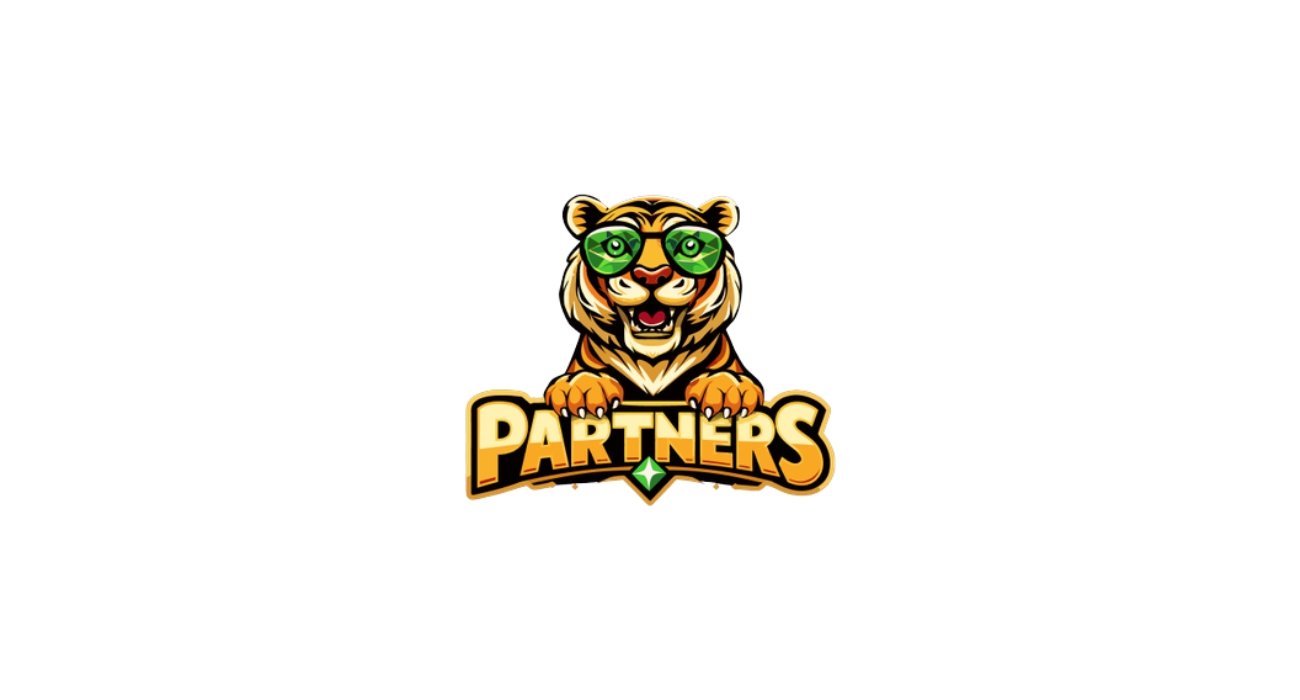 SpinTiger Partners Img