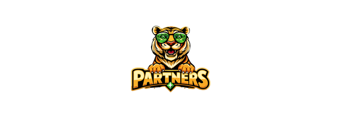 SpinTiger Partners Img