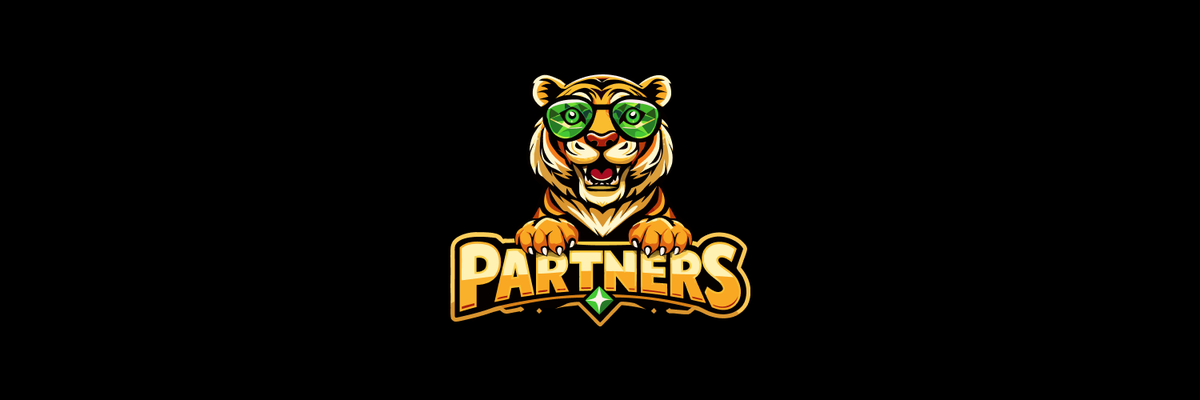 SpinTiger Partners Img