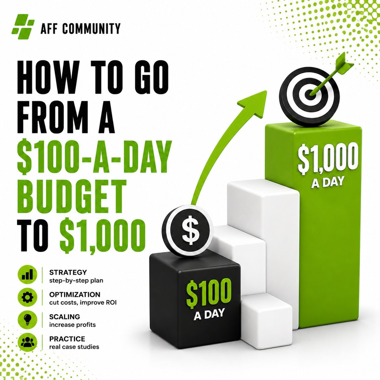 How to Scale Up from a $100-a-Day Budget to $1,000 img