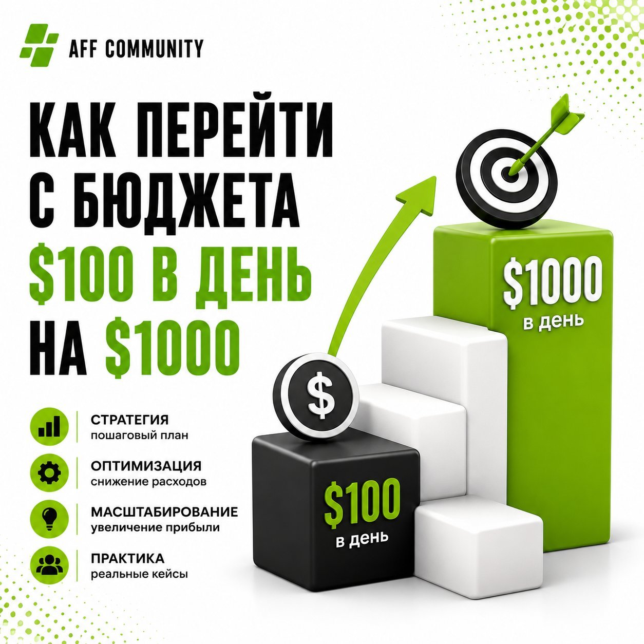 Как перейти с бюджета $100 в день на $1000 img
